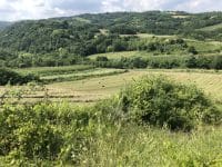 IMG_2006