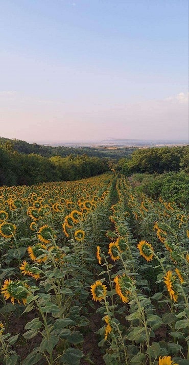 107