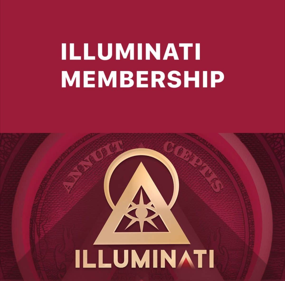 The members