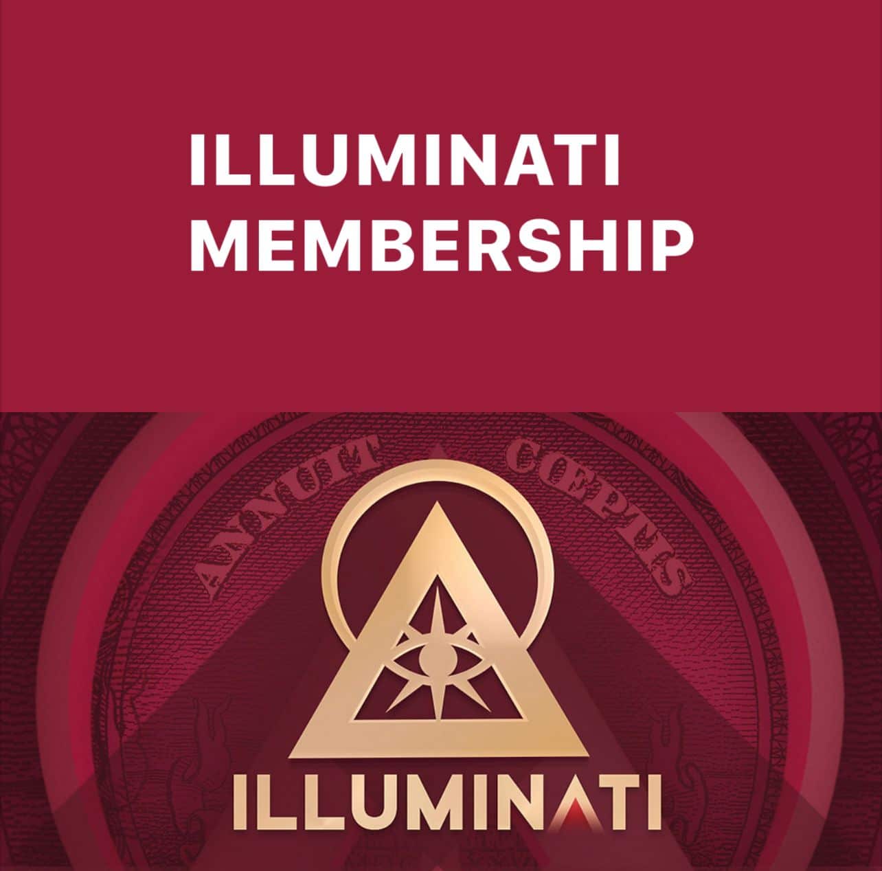 The members