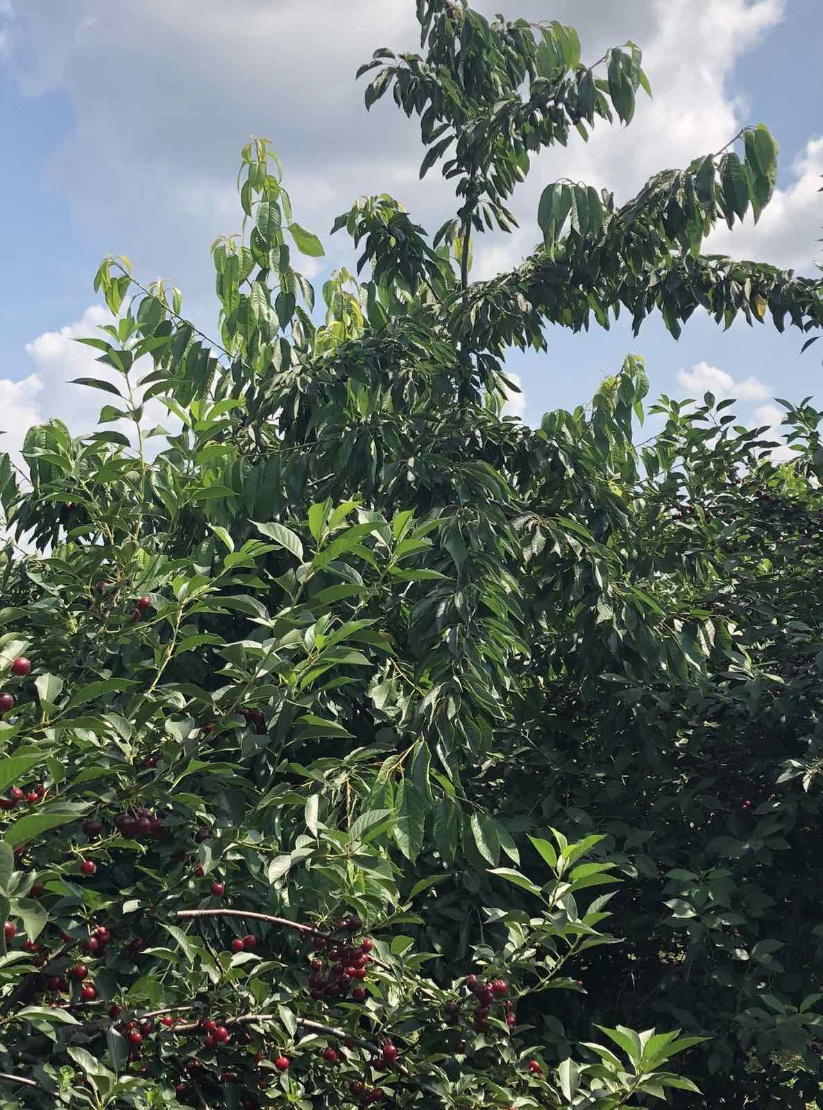 viber_slika_2026-05-08_09-36-01-079