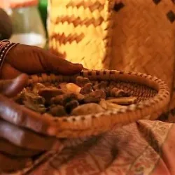 49cdc-traditional-healer-featured