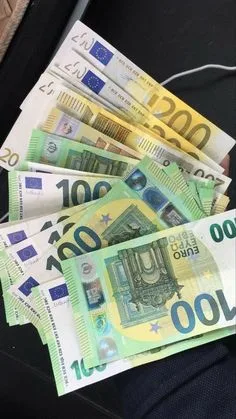 fake euro